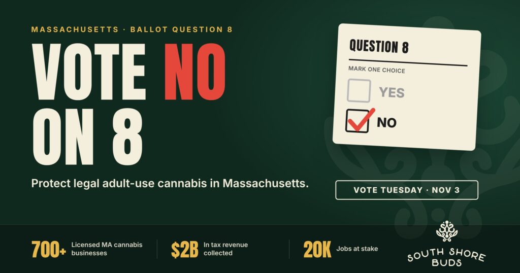 Massachusetts Question 8